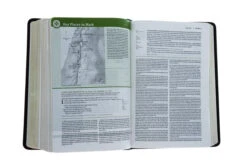 NLT Life Application Study Bible, Third Edition, Personal Size LeatherLike, 11 NLT Life Application Study Bible, Third Edition, Personal Size LeatherLike, -Book Store 212 1157 6