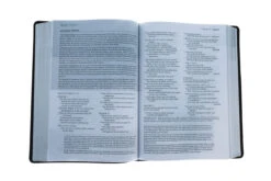 NLT Life Recovery Bible, Second Edition Leatherlike, Rustic Brown -Book Store 212 1174 5