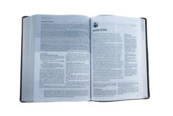 NLT Life Recovery Bible, Second Edition Leatherlike, Rustic Brown -Book Store 212 1174 6