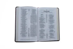 NRSV, Thinline Reference Bible, Leathersoft, Burgundy 7 NRSV, Thinline Reference Bible, Leathersoft, Burgundy -Book Store 213 0015 3