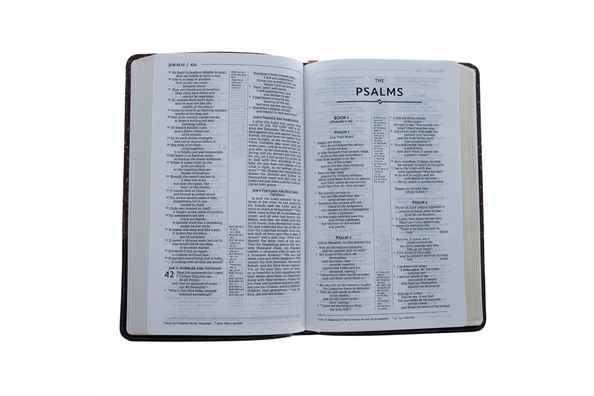 NRSV, Thinline Reference Bible, Leathersoft, Burgundy 3 NRSV, Thinline Reference Bible, Leathersoft, Burgundy - Image 3