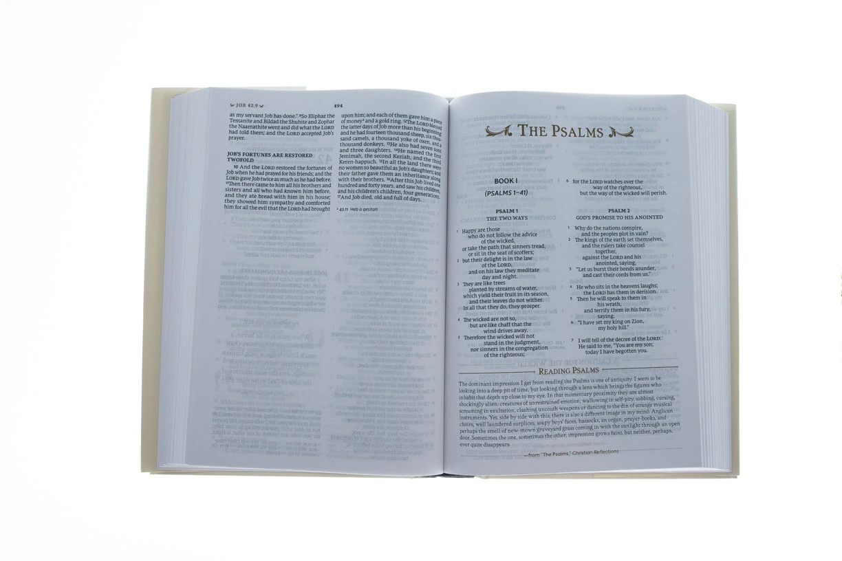 Nrsv, The C. S. Lewis Bible 2 Nrsv, The C. S. Lewis Bible - Image 2