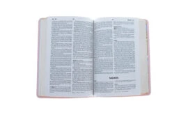 NBD Biblia Precious Moments – Rosada -Spanish Edition 6 NBD Biblia Precious Moments – Rosada -Spanish Edition -Book Store 216 0008 3 1