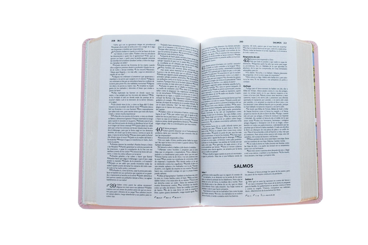 NBD Biblia Precious Moments – Rosada -Spanish Edition 3 NBD Biblia Precious Moments – Rosada -Spanish Edition - Image 3