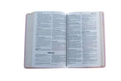 NBD Biblia Precious Moments – Rosada -Spanish Edition 7 NBD Biblia Precious Moments – Rosada -Spanish Edition -Book Store 216 0008 4 1