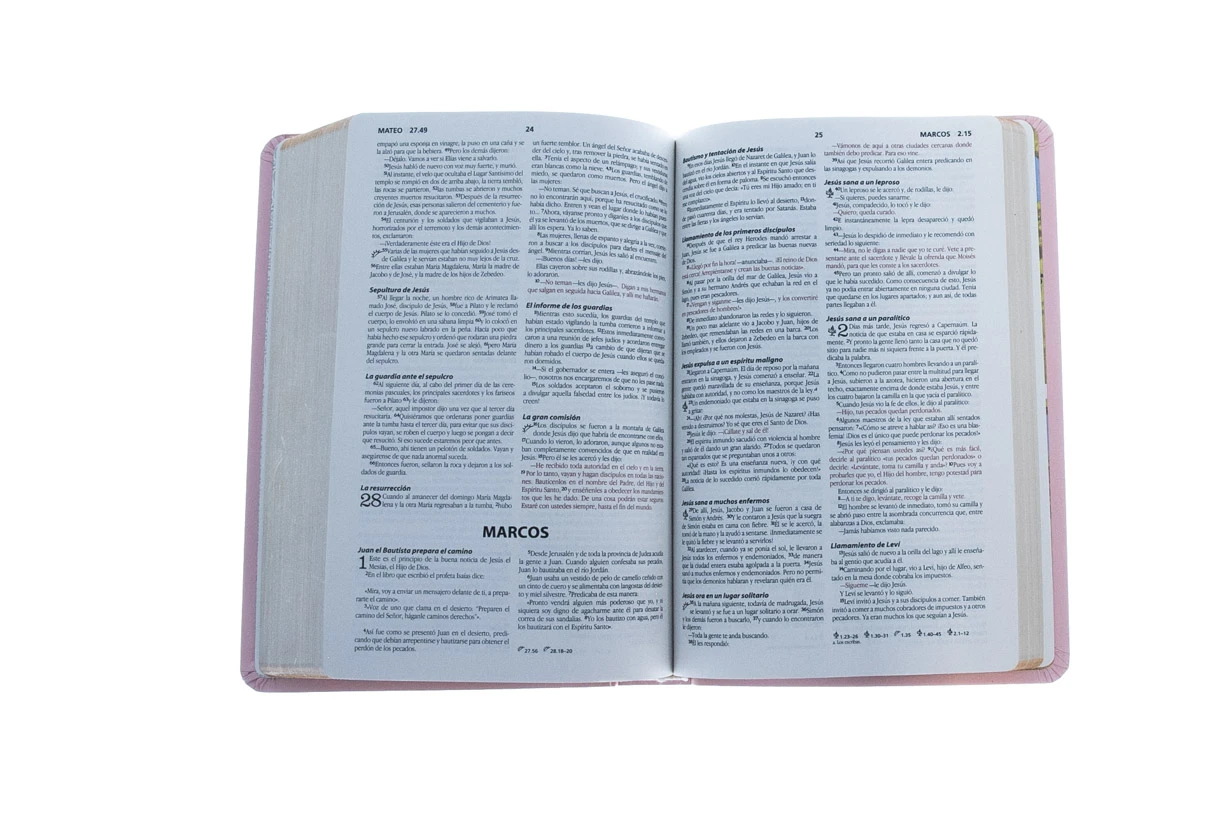 NBD Biblia Precious Moments – Rosada -Spanish Edition 4 NBD Biblia Precious Moments – Rosada -Spanish Edition - Image 4