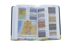 RVR 1960 Biblia De Estudio Arcoiris, Morado/multicolor -Book Store 216 0025 5 1