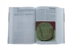 CEB Study Bible W/Apocrypha-Hardcover -Book Store 217 0005 5