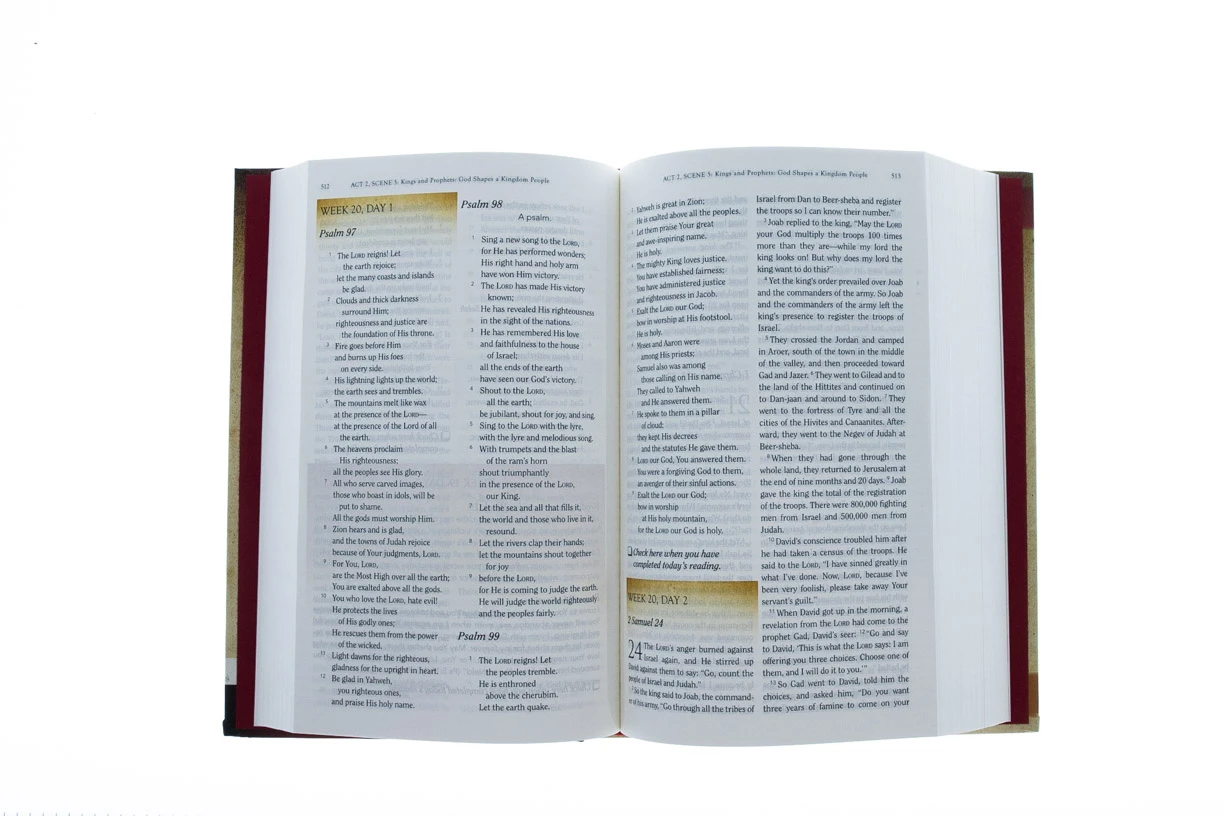 Reading God’s Story-HCSB: A Chronological Reading Bible 2 Reading God’s Story-HCSB: A Chronological Reading Bible - Image 2