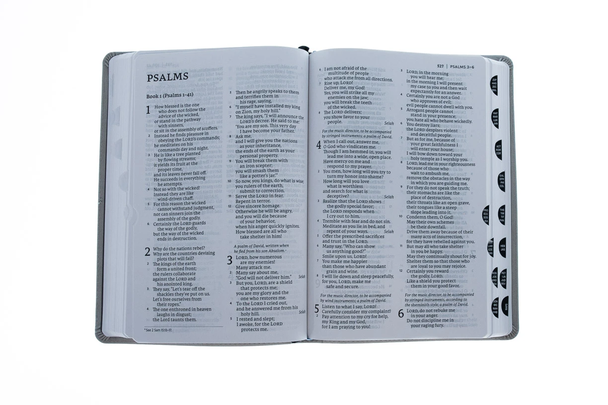 NET Bible, Thinline Large Print, Leathersoft, Stone, Thumb Indexed 3 NET Bible, Thinline Large Print, Leathersoft, Stone, Thumb Indexed - Image 3