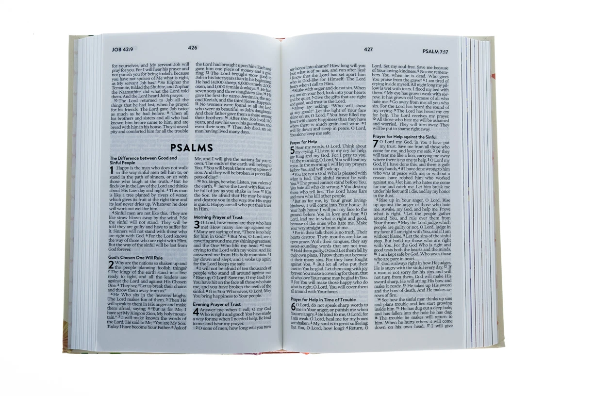 A To Z Devotional Bible For Courageous Girls: New Life Version 2 A To Z Devotional Bible For Courageous Girls: New Life Version - Image 2