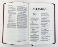 NRSVUE Gift Bible, Leathersoft, Burgundy, Comfort Print -Book Store 226 0014 2