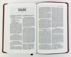 NRSVUE Gift Bible, Leathersoft, Burgundy, Comfort Print -Book Store 226 0014 3