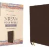 NRSVUE Holy Bible With Apocrypha, Leathersoft, Brown