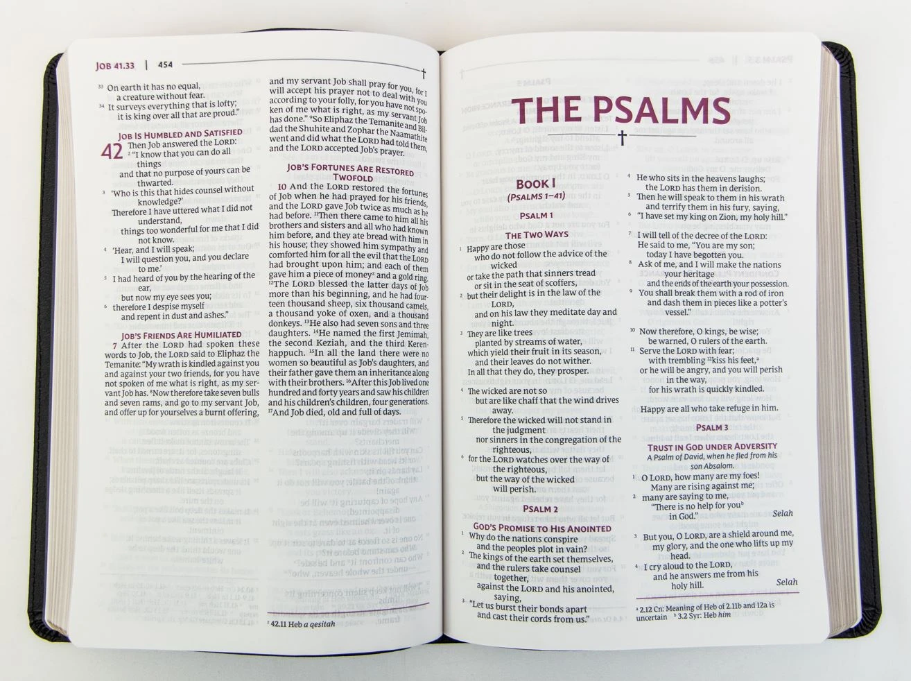 NVSVUE Holy Bible, Leathersoft, Black, Comfort Print 2 NVSVUE Holy Bible, Leathersoft, Black, Comfort Print - Image 2