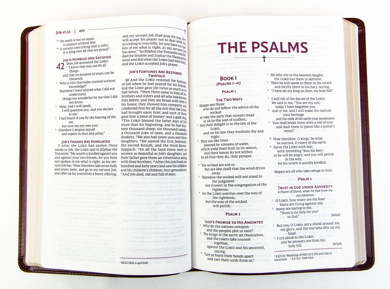 NRSVUE Holy Bible, Leathersoft, Burgundy, Comfort Print 2 NRSVUE Holy Bible, Leathersoft, Burgundy, Comfort Print - Image 2