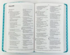 CSB Kids Bible, Thinline Edition, Aqua Leathertouch 7 CSB Kids Bible, Thinline Edition, Aqua Leathertouch -Book Store 226 0023 2 1