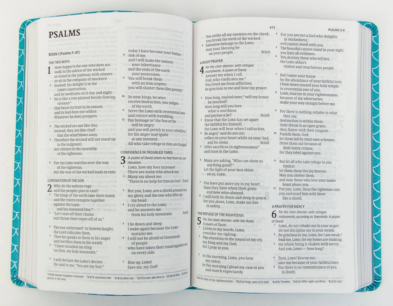 CSB Kids Bible, Thinline Edition, Aqua Leathertouch 3 CSB Kids Bible, Thinline Edition, Aqua Leathertouch - Image 3