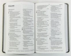 CSB Kids Bible, Thinline Edition, Gray Leathertouch -Book Store 226 0024 1