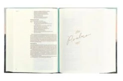 CSB Notetaking Bible: Bend Theme -Book Store 226 0038 5